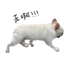 阿邁の可愛貼圖
