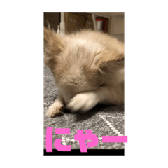 d_20220911213511