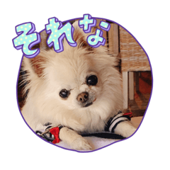 honey_3939