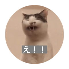 omochi_isobe