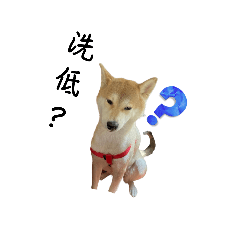 Shiba Na