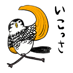 Tsuguo,a thrush who speaks Fukui dialect