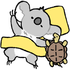 koala and tortoise