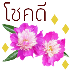 タイ語で花の動くスタンプ