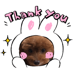 Rinrin_20220913004328