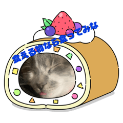 jin_20220912205941