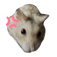 natsumi_20220913003757