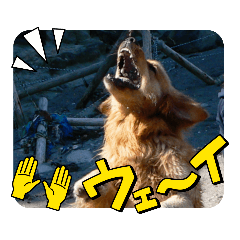 MOMOKO_20220912233342