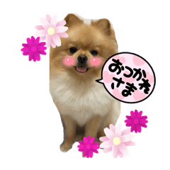 sayuri_20220913094946