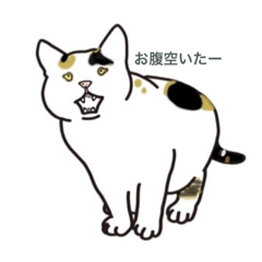 hana_20220912225918