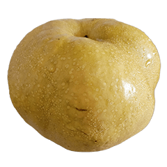 Food Series : Huge Pear