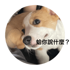 Cth_20220912221159 - LINE スタンプ | LINE STORE