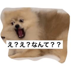 zaku_20220912213735