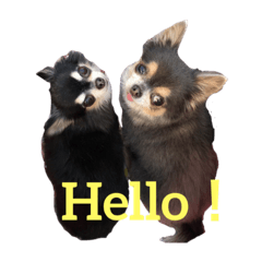 akimasamune_20220913155608