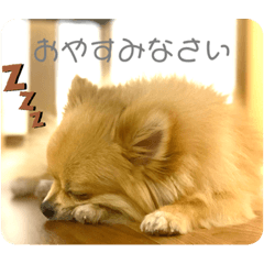 taki_20220913163013