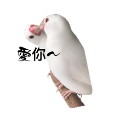 啾咪和小寶的可愛日常～