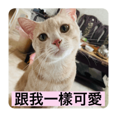 Cung_20220913180705