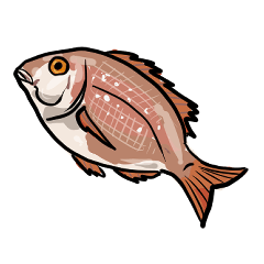 Fish sticker fish
