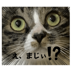 shiho_20220913214606