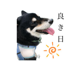 yokkoisho_20220913225643