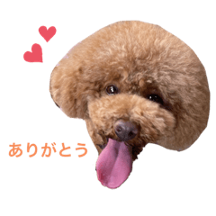 potato08
