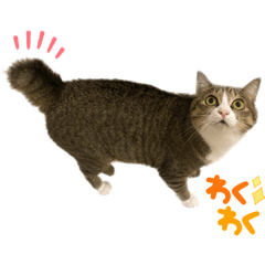 YUKARI_20220914122216