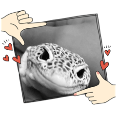 Hello_20220914131217
