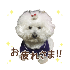 toranosuke_20220914125401