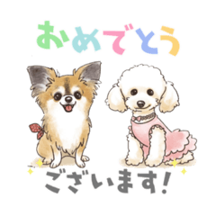 Aoi_20220914150403