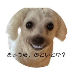 MIZUKI_20220914164605