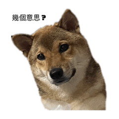 惡財1.0