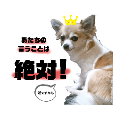 hana_20220915044150