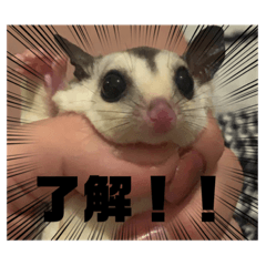 Yun_20220915001459