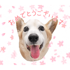 Hana_20220914235728