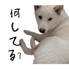 HONEY_20220914233052