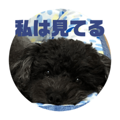 hiikoraku_20220914