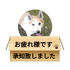 tomomi_20220912210650