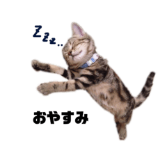 tomomi_20220914205241