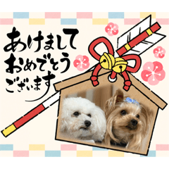 Rina_20220914191638