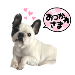 Yuka_20220914210452