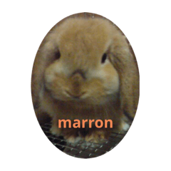 Alice_20220914181333