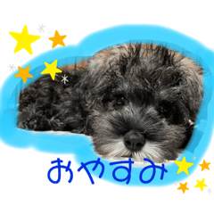 Noahnista_20220915112037