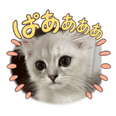 yuka_20220915095247