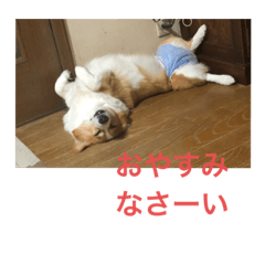 junko_20220915141712