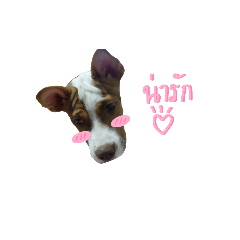 Emily_20220915134437