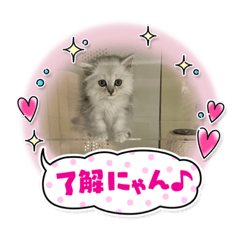 yuka_20220915150041