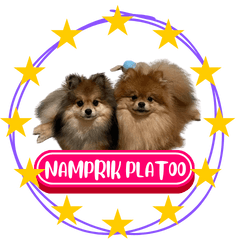 Woofme with NAMPRIK PLATOO