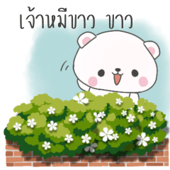 cute white bear bear
