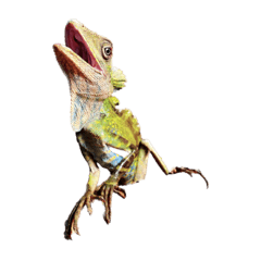 Ken punk_20220914134130