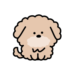 Modest Toy Poodle